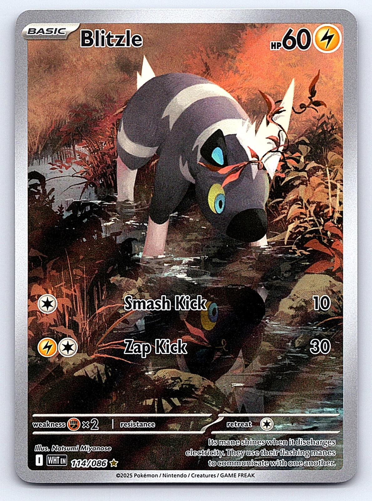 Blitzle 114/086 – SV: White Flare