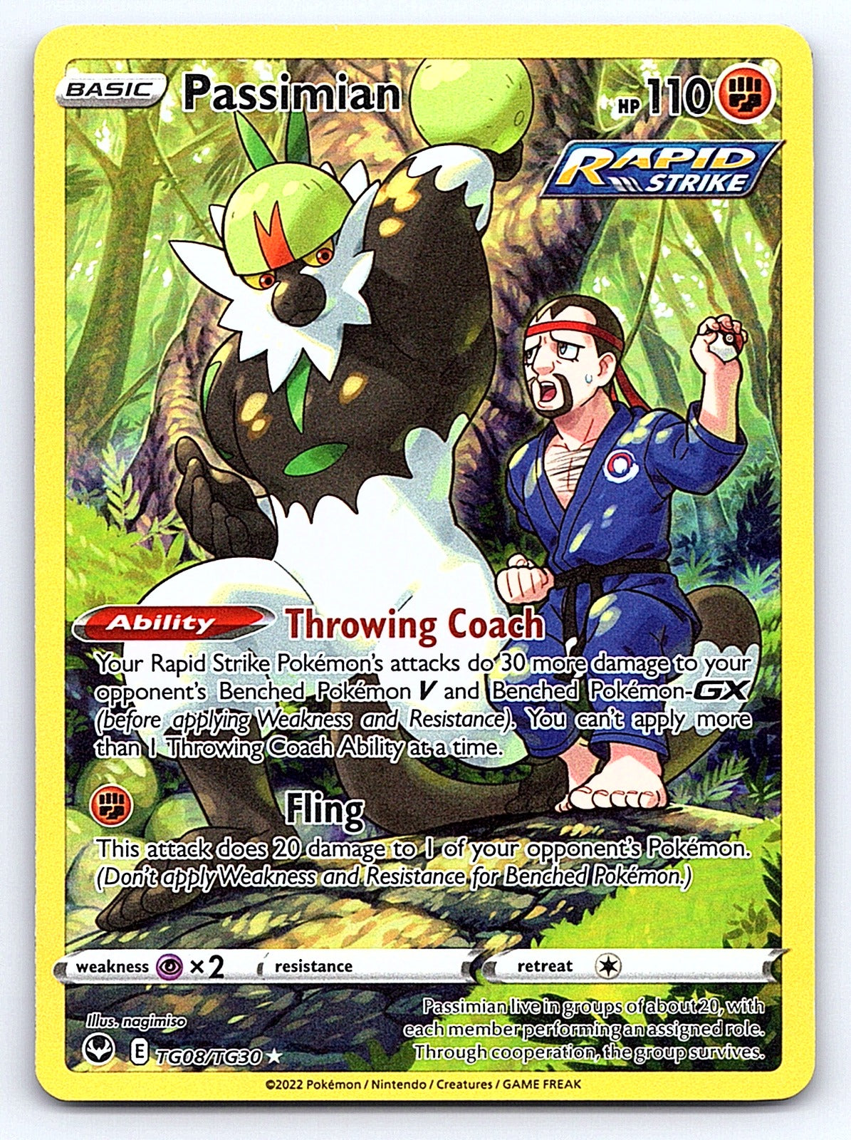 Passimian TG08/TG30 – SWSH12: Silver Tempest Trainer Gallery