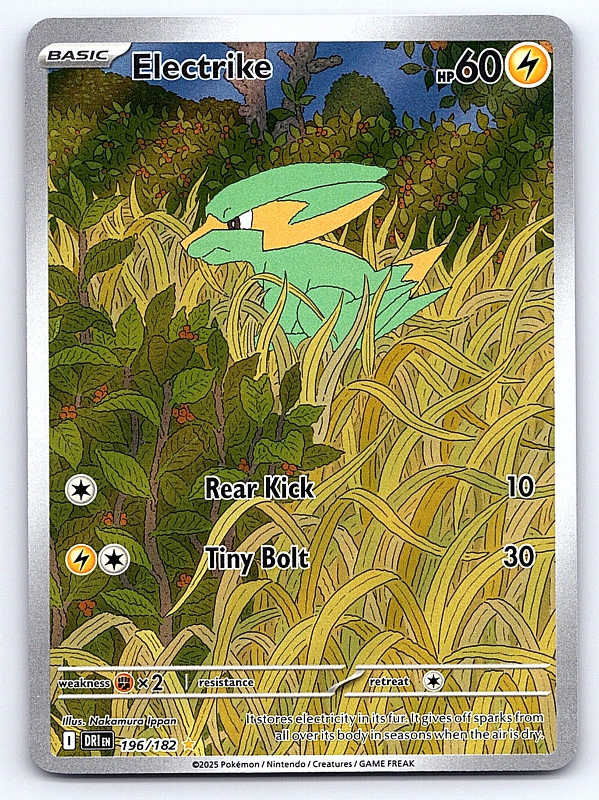Electrike 196/182 – SV10: Destined Rivals
