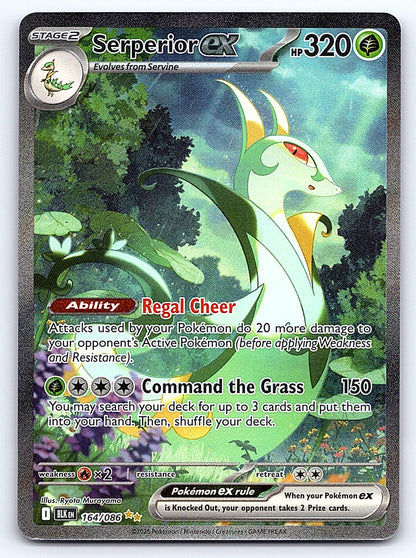 Serperior ex 164/086 – SV: Black Bolt