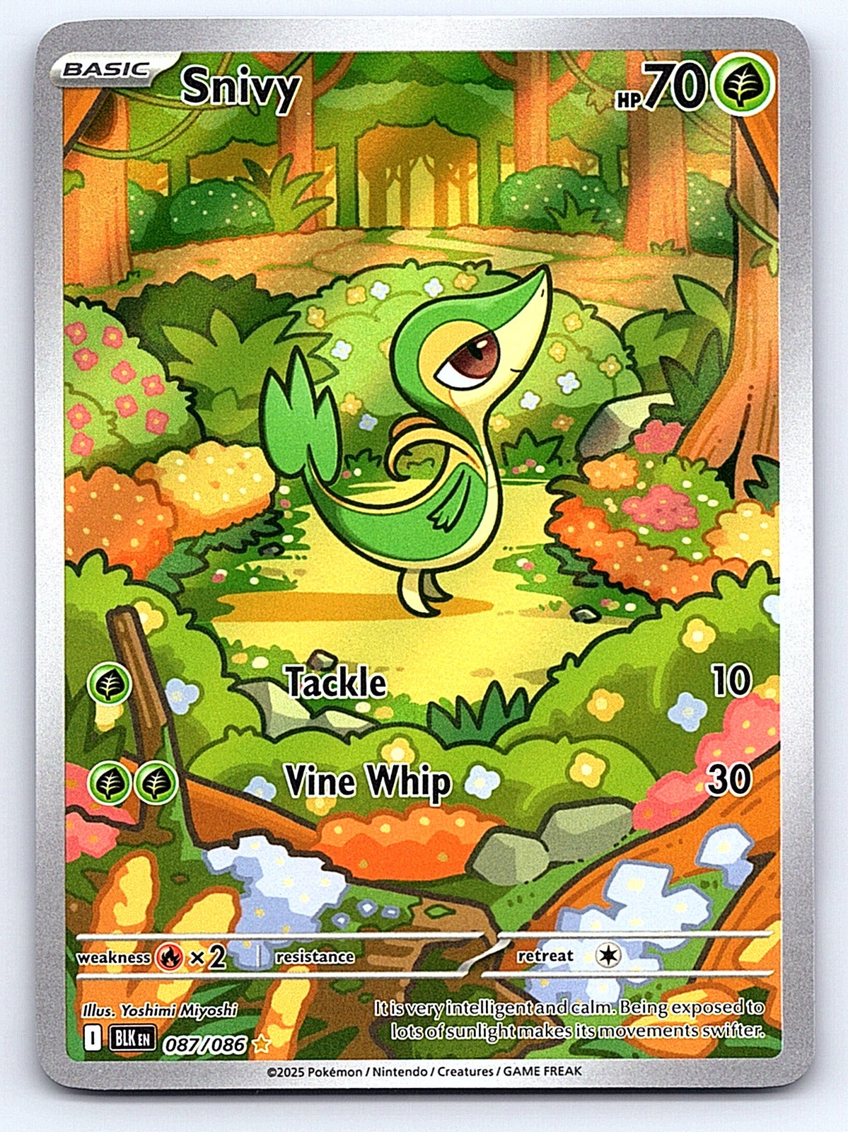 Snivy - 087/086 – SV: Black Bolt