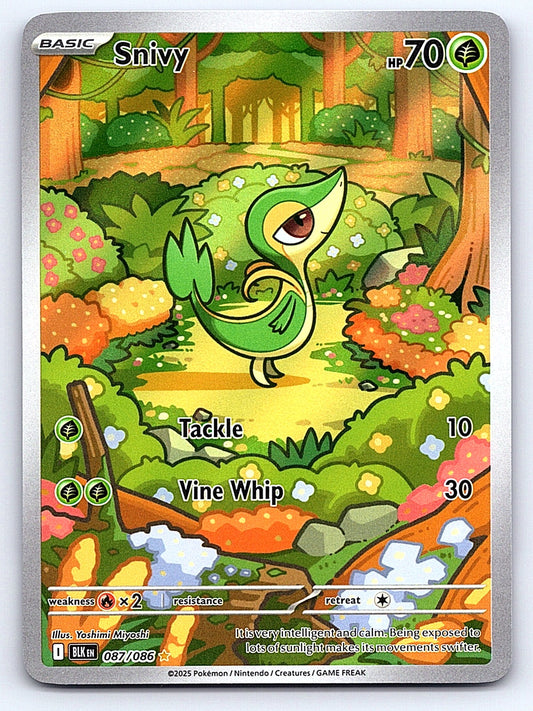 Snivy - 087/086 – SV: Black Bolt