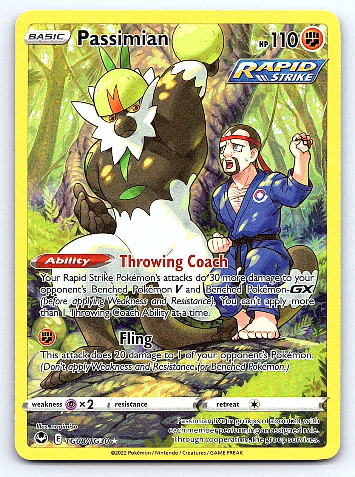 Passimian TG08/TG30 – SWSH12: Silver Tempest Trainer Gallery