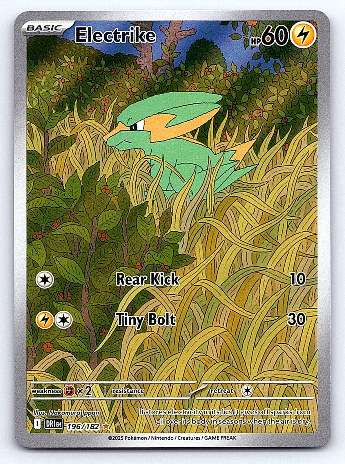 Electrike 196/182 – SV10: Destined Rivals