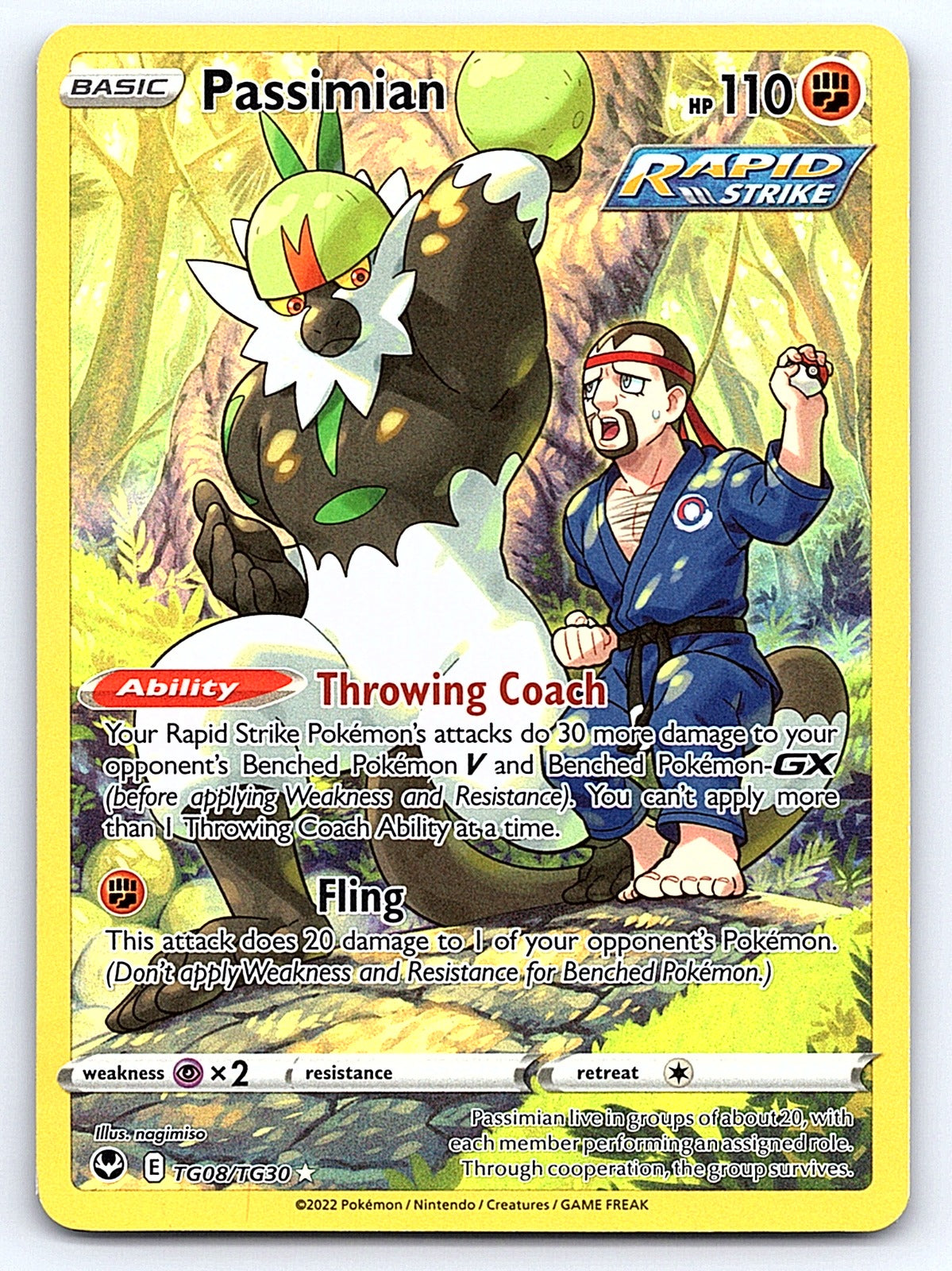 Passimian TG08/TG30 – SWSH12: Silver Tempest Trainer Gallery