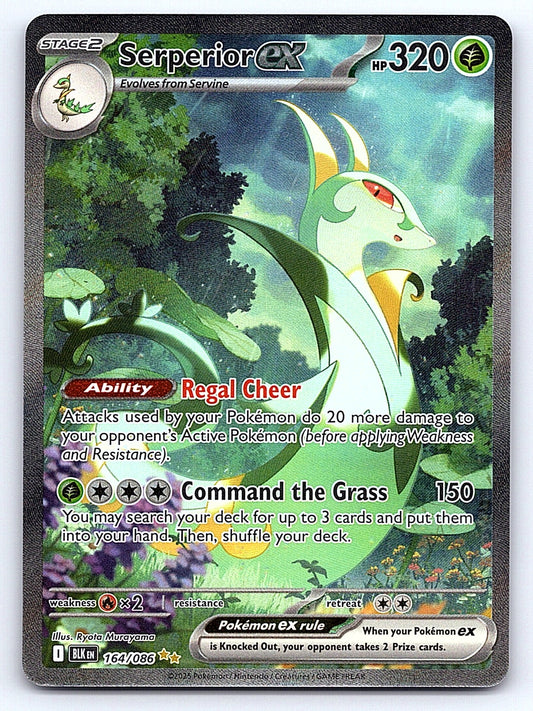 Serperior ex 164/086 – SV: Black Bolt