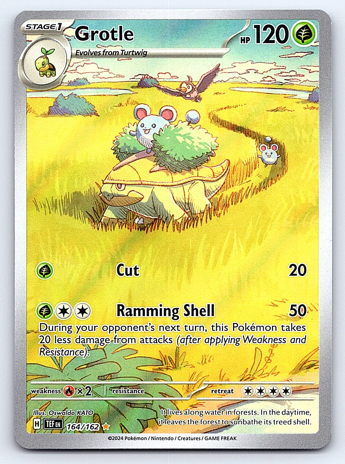 Grotle 164/162 – SV05: Temporal Forces